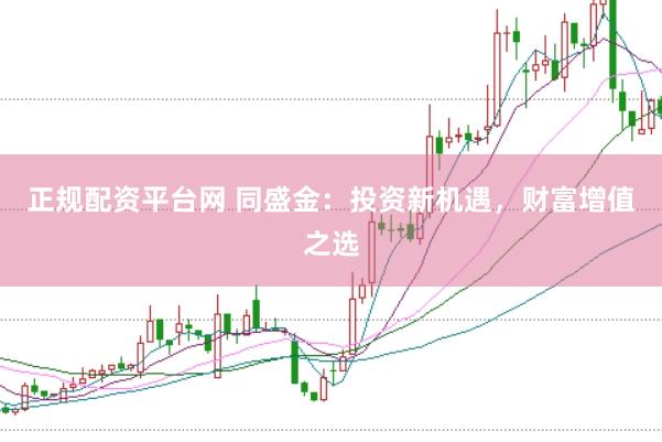 正规配资平台网 同盛金：投资新机遇，财富增值之选